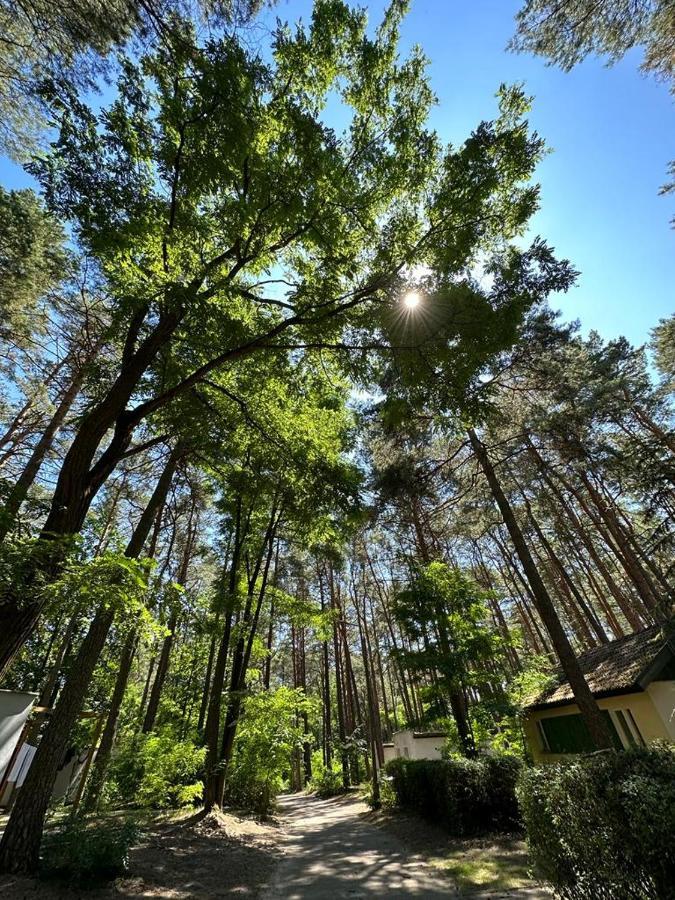 Summer House ルブニエビツェ エクステリア 写真